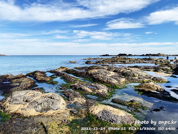 포항드라이브여행 오도주상절리