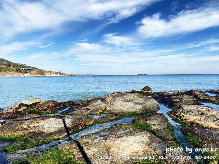 포항드라이브여행 오도주상절리