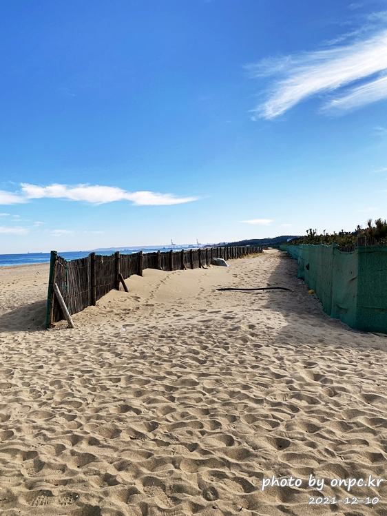 포항드라이브여행 칠포해수욕장