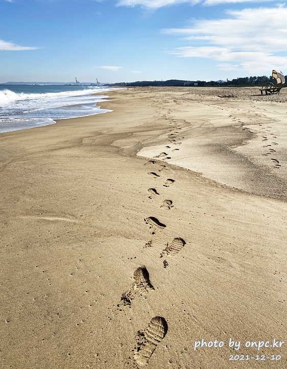 포항드라이브여행 칠포해수욕장