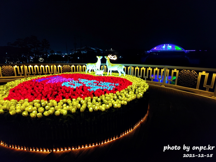 경주 동궁원야간개장