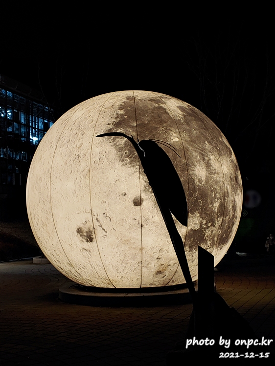 경주 동궁원야간개장