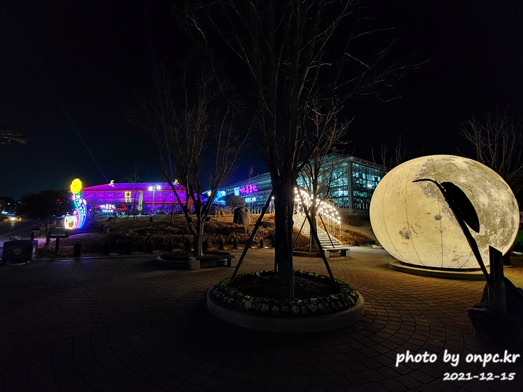 경주 동궁원야간개장