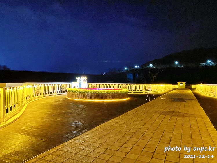 경주 동궁원야간개장