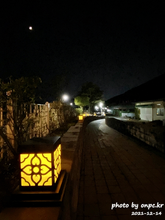 경주 동궁원야간개장