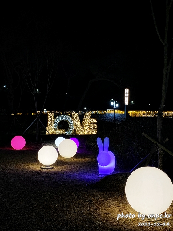 경주 동궁원야간개장