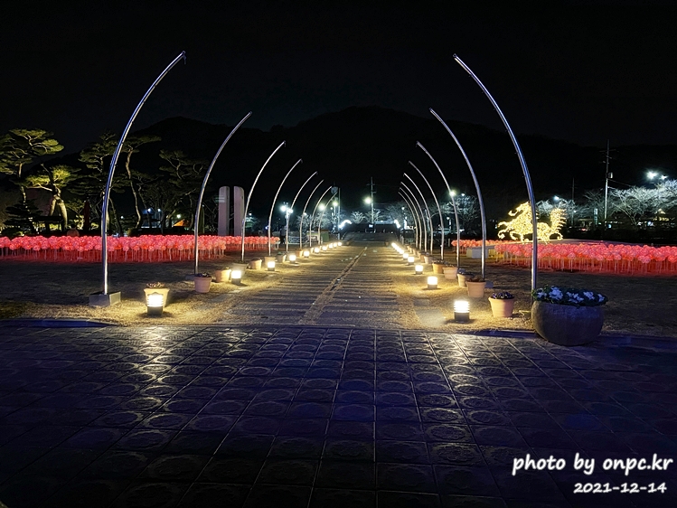 경주 동궁원야간개장