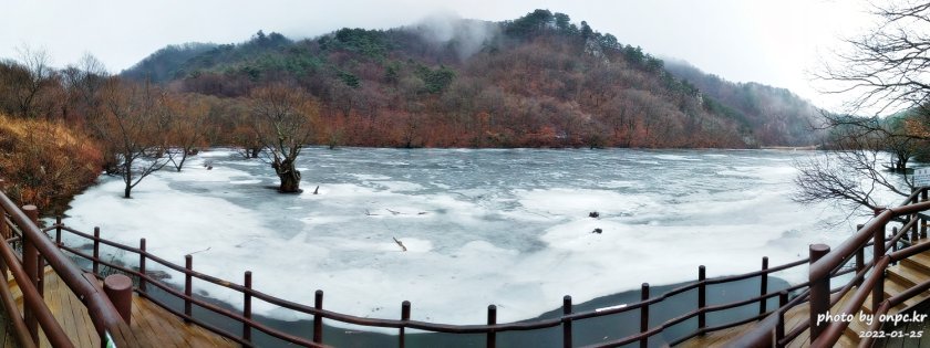 경북청송 겨울주산지