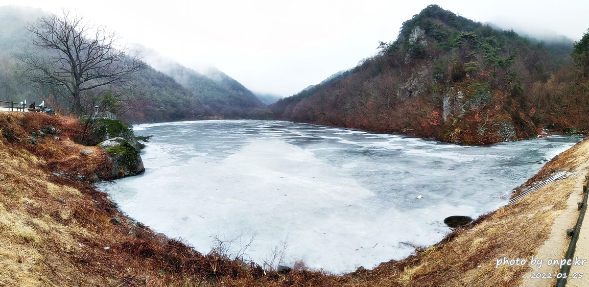 경북청송 겨울주산지