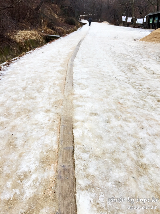 경북청송 주산지