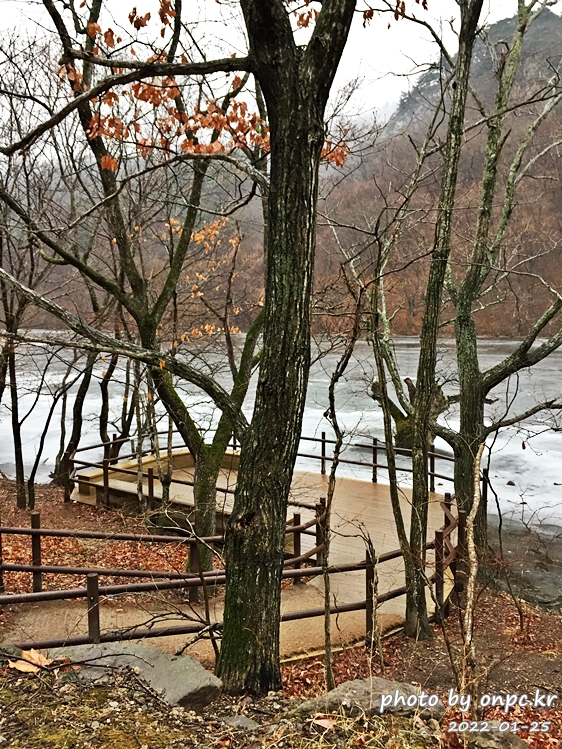 경북청송 주산지