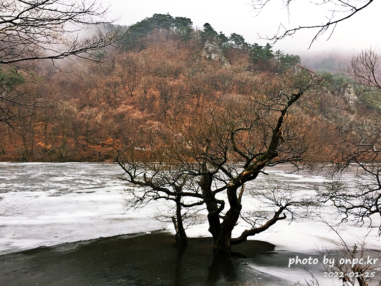 경북청송 겨울주산지