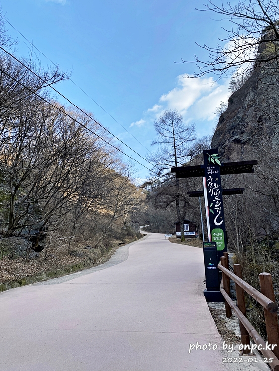 청송 주산지탐방로 왕버들길