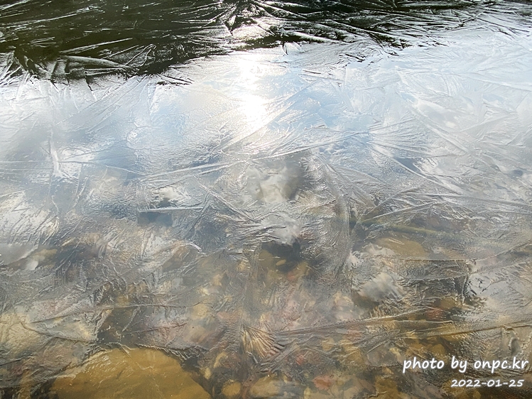 경북청송 겨울주산지