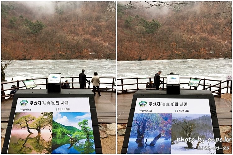주산지의 봄여름가을겨울