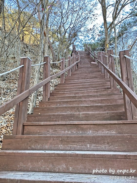 경북군위 아미산 나무계단