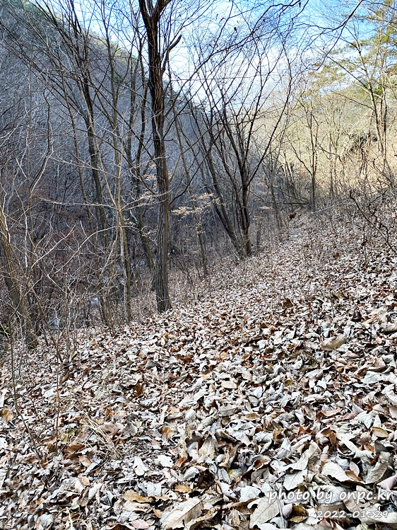 경북군위 아미산