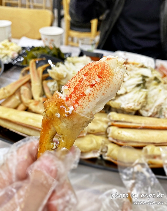 경북영덕강구항 205대게직판장 대게세트