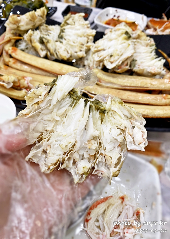 경북영덕강구항 205대게직판장 대게세트