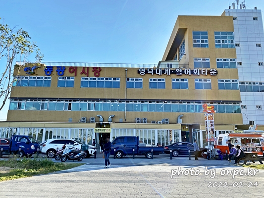 경북영덕 강구항 해파랑공원 동광어시장