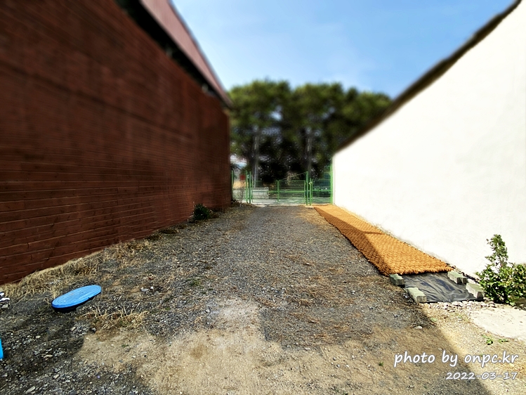 집마당 꾸미기, 잡초제거용 코코넛 야자매트깔기