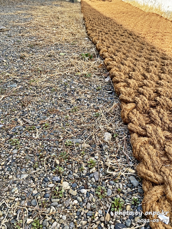 집마당 꾸미기, 잡초제거용 코코넛 야자매트깔기