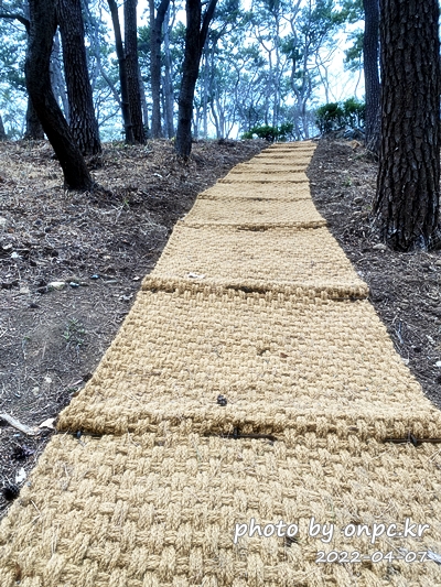 집마당 꾸미기, 잡초제거용 야자매트깔기