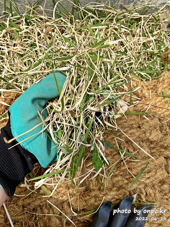 가데나 충전식 핸디형 잔디깎기&핸들스틱 포함