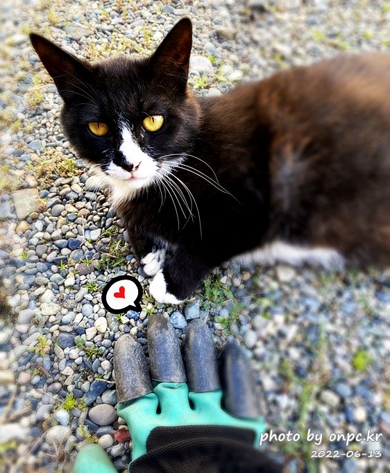 양손갈고리장갑 원예장갑