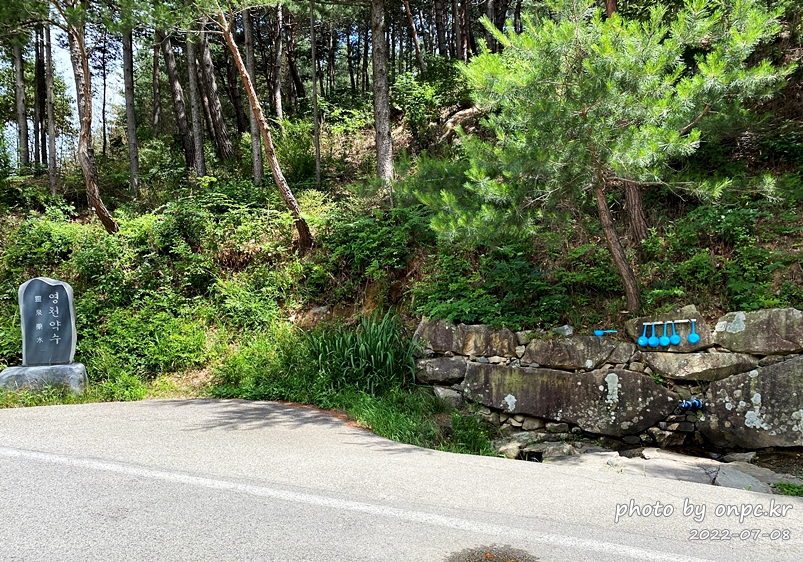 통도사 안양암 영천약수
