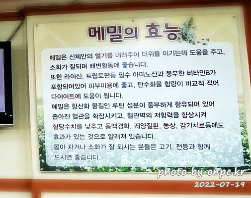 순메밀막국수 울산 황정숙막국수 메밀효능