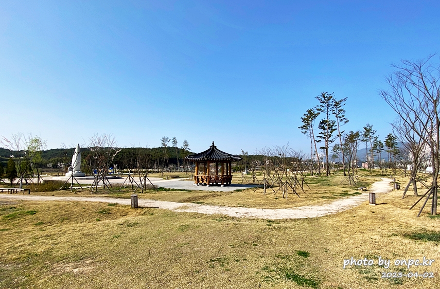 영지설화공원 영지호수 벚꽃길