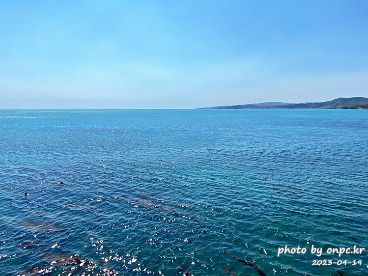 포항 장길리 복합낚시공원 보릿돌교 바다풍경
