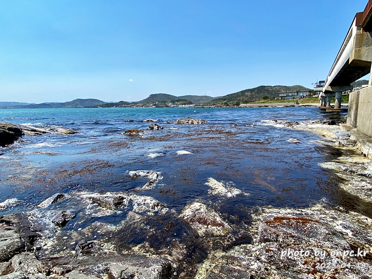 포항 장길리 복합낚시공원 바다해초