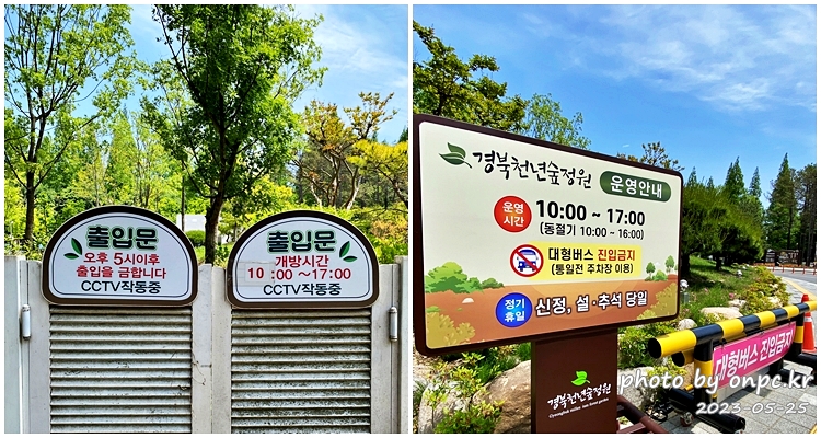 경북지방정원1호 천년숲정원 운영시간안내