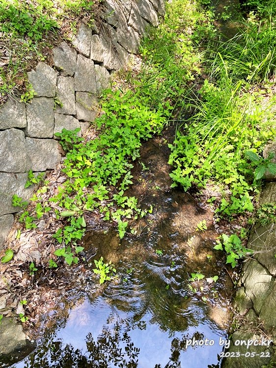 경주 천년숲정원