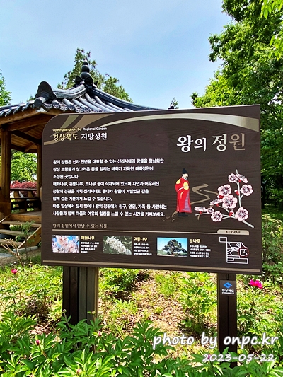 경주 천년숲정원 왕의정원