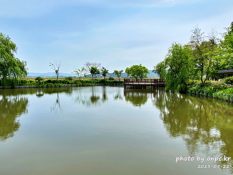 경주 천년숲정원 수변정원