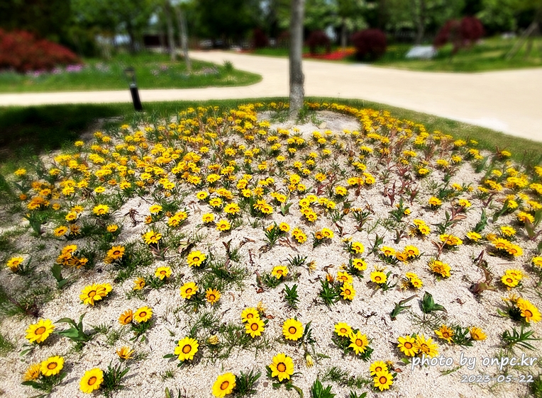 경주 천년숲정원