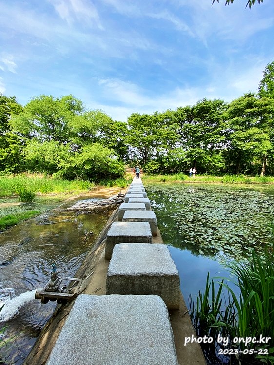 경주 천년숲정원 징검다리