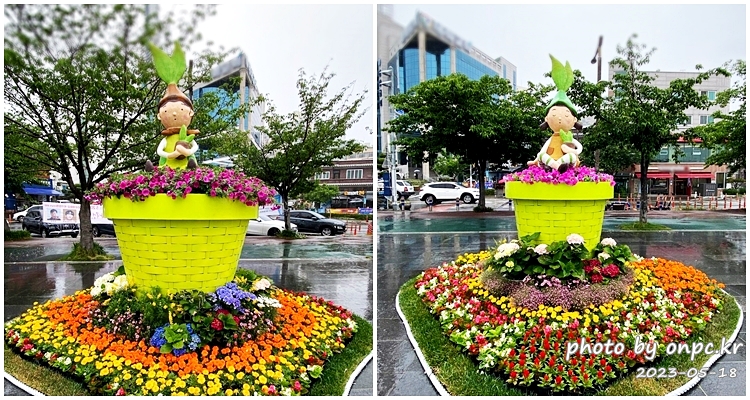 울산 태화강국가정원 귀여운꽃화분