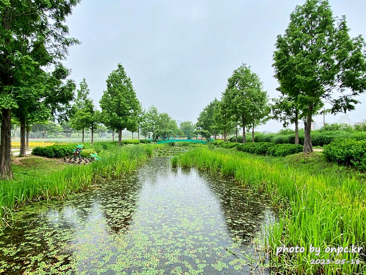 태화강국가정원 물정원과 청개구리 조형물