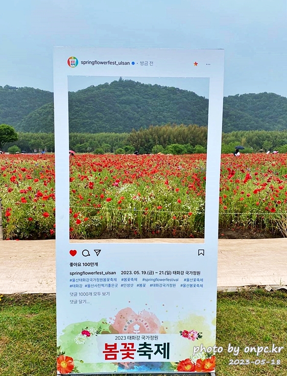 태화강국가정원 봄꽃축제 포토존
