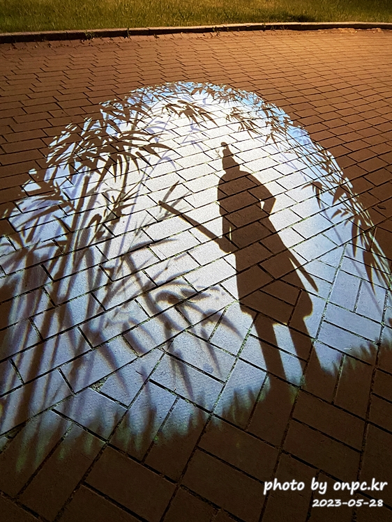 경주 대릉원 녹턴 미디어아트