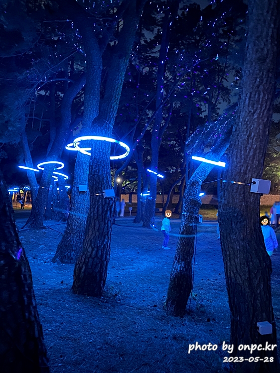 경주 대릉원 녹턴 미디어아트 레이저라이트 스모그