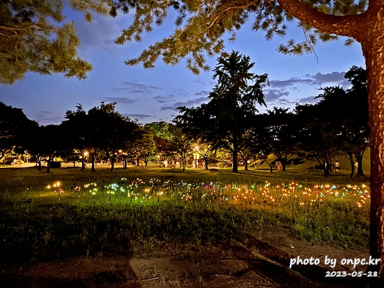 경주 대릉원 녹턴 미디어아트