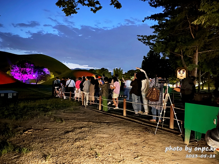 경주 대릉원 녹턴 미디어아트