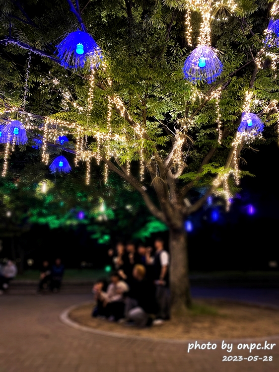 경주 대릉원 녹턴 미디어아트 AR 체험존