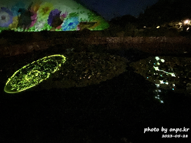 경주 대릉원 녹턴 미디어아트 황남대총앞 연못 신라의별자리