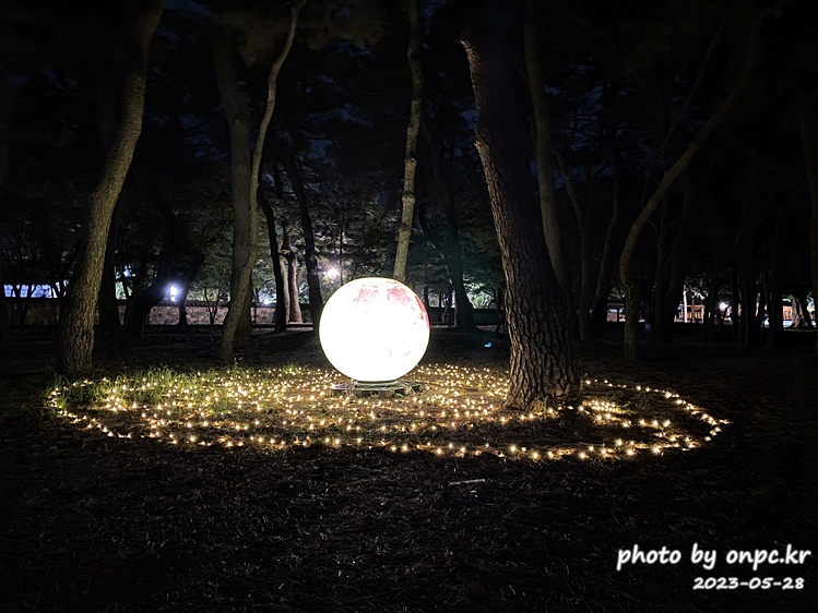 경주 대릉원 녹턴 미디어아트 보름달